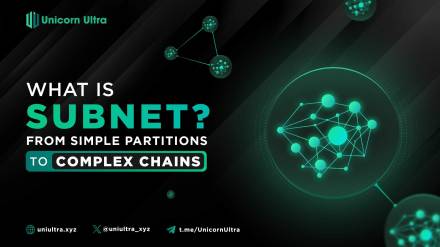 What is Subnet? From Simple Partitions to Complex Chains