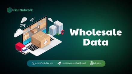 Wholesale Data in the Digital Age: Strategies for Success