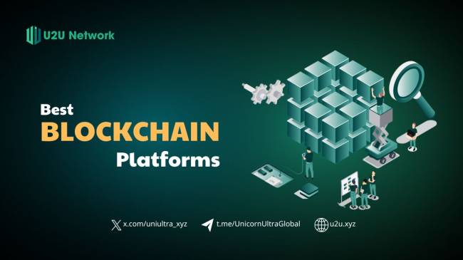 Top 6 best Blockchain Platforms: Unlocking the Power of Decentralization