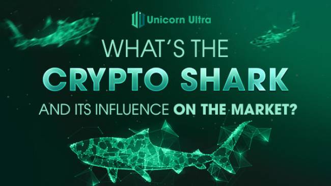 What's the crypto shark and its influence on the market?