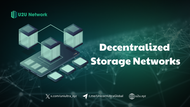 Harnessing Decentralized Storage Networks for Enhanced Data Security