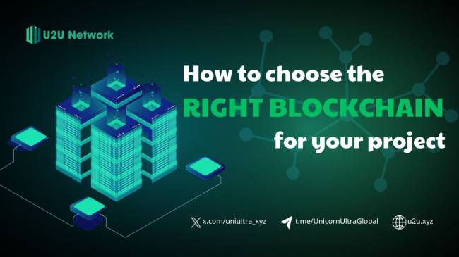 How to choose the right blockchain for your project