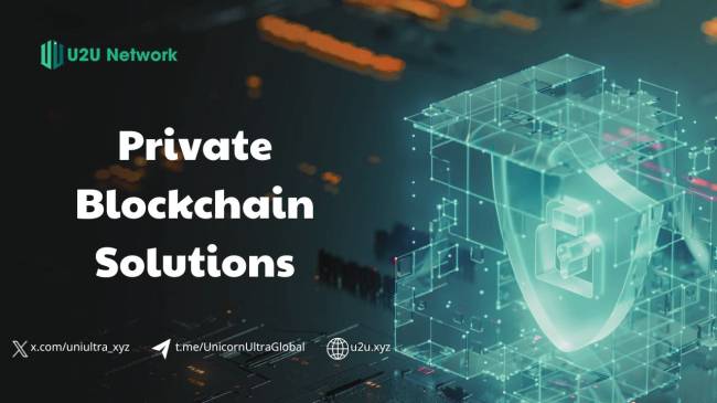 Private Blockchain Solutions: Empowering Businesses with Secure and Customizable Ledgers